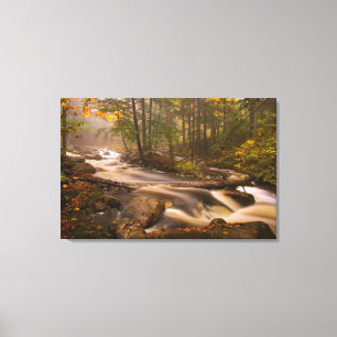 VS, Vermont, East Arlington, Stromende beken 2 Canvas Afdruk