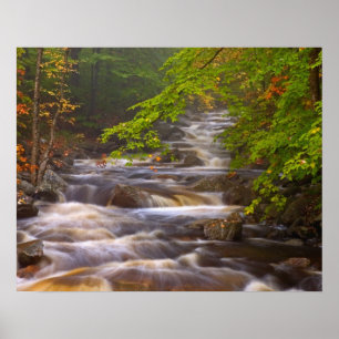 VS, Vermont, East Arlington, Stromende beken Poster