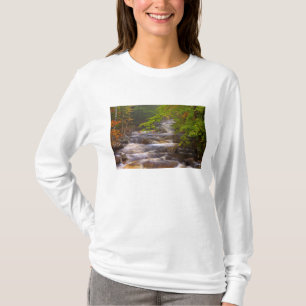 VS, Vermont, East Arlington, Stromende beken T-shirt