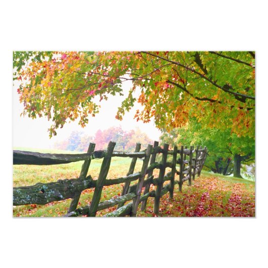 VS, Vermont. Hek onder herfstloof. Foto Afdruk (Voorkant)