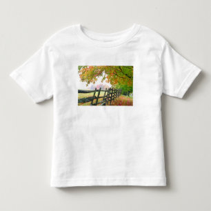 VS, Vermont. Hek onder herfstloof. Kinder Shirts