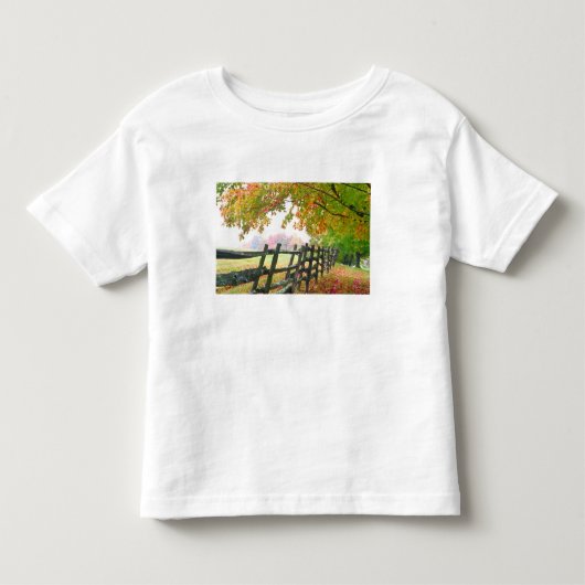 VS, Vermont. Hek onder herfstloof. Kinder Shirts (Voorkant)