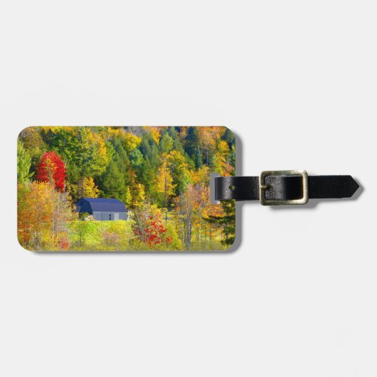VS, Vermont. Herfst langs Highway 100. Bagagelabel (Voorkant horizontaal)