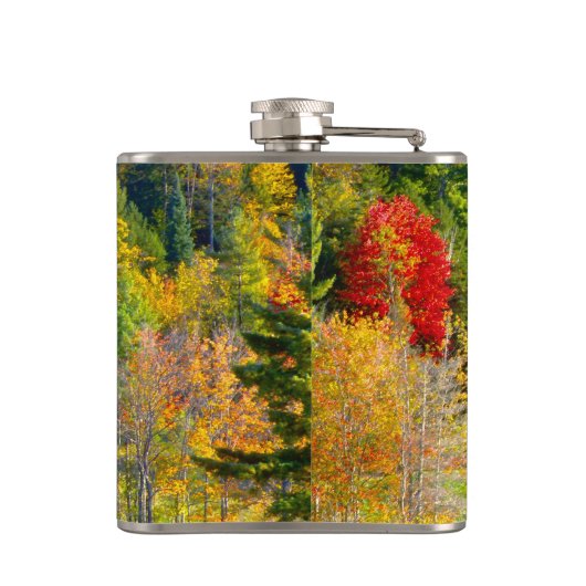 VS, Vermont. Herfst langs Highway 100. Heupfles (Achterkant)