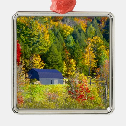 VS, Vermont. Herfst langs Highway 100. Metalen Ornament (Voorkant)