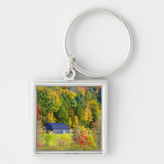 VS, Vermont. Herfst langs Highway 100. Sleutelhanger (Voorkant)