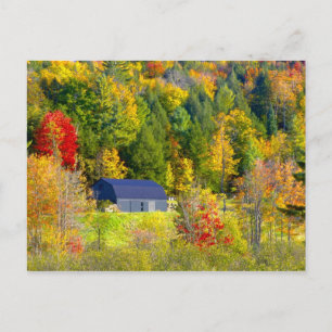 VS, Vermont. Herfstloof langs Highway 100. Briefkaart
