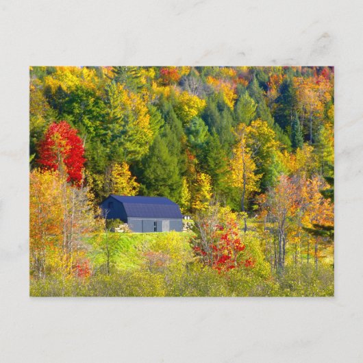 VS, Vermont. Herfstloof langs Highway 100. Briefkaart (Voorkant)