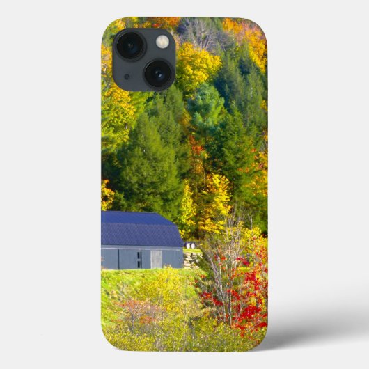 VS, Vermont. Herfstloof langs Highway 100. Case-Mate iPhone Case (Achterkant)