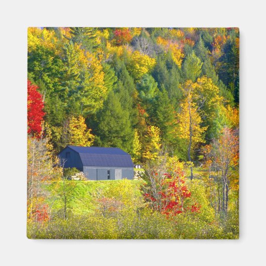 VS, Vermont. Herfstloof langs Highway 100. Magneet (Voorkant)