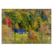 VS, Vermont. Herfstloof langs Highway 100. Snijplank (Voorkant)