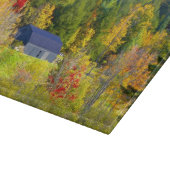 VS, Vermont. Herfstloof langs Highway 100. Snijplank (Hoek)