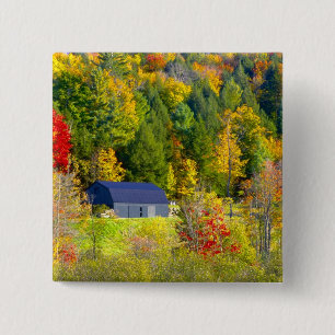 VS, Vermont. Herfstloof langs Highway 100. Vierkante Button 5,1 Cm