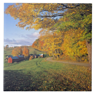 VS, Vermont, Jenne Farm. De herfst komt naar Jenne Tegeltje