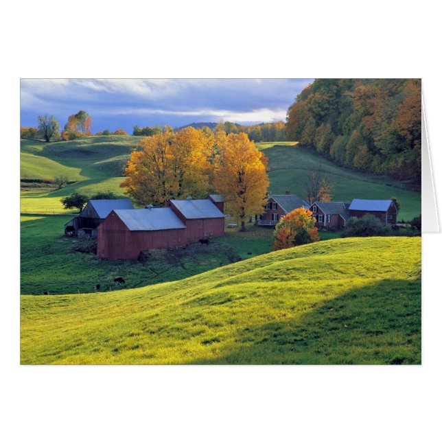 VS, Vermont, Jenne Farm. Rollende groene heuvels (Voorkant Horizontaal)