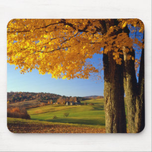 VS, Vermont. Landelijk landschap nabij South Woods Muismat