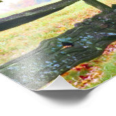 VS, Vermont. Omheining onder herfst bladeren. Foto Afdruk (Hoek)