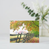 VS, Vermont. Omheining onder herfst. Briefkaart (Staand voorkant)