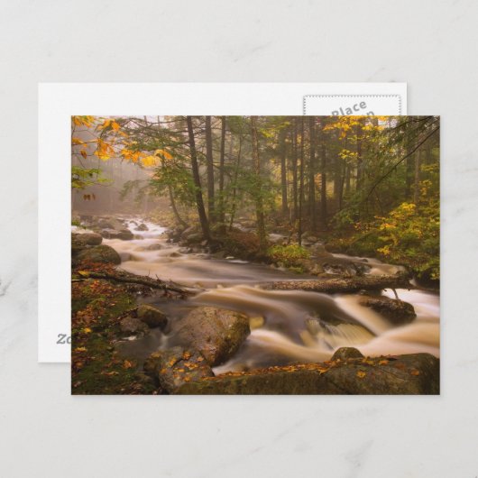 VS, Vermont, Oost-Arlington, stromingsstromen 2 Briefkaart (Voorkant / Achterkant)