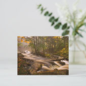 VS, Vermont, Oost-Arlington, stromingsstromen 2 Briefkaart (Staand voorkant)