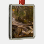 VS, Vermont, Oost-Arlington, stromingsstromen 2 Metalen Ornament (Rechts)