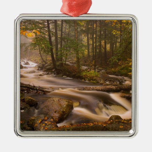 VS, Vermont, Oost-Arlington, stromingsstromen 2 Metalen Ornament (Voorkant)