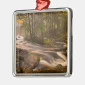 VS, Vermont, Oost-Arlington, stromingsstromen 2 Metalen Ornament (Links)