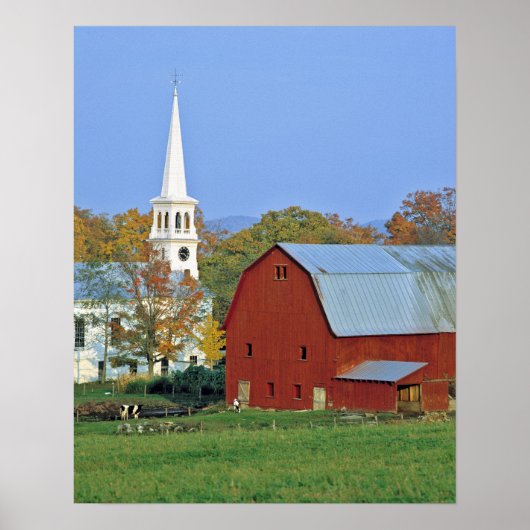 VS, Vermont, Peacham. Een rode schuur en witte Poster (Voorkant)