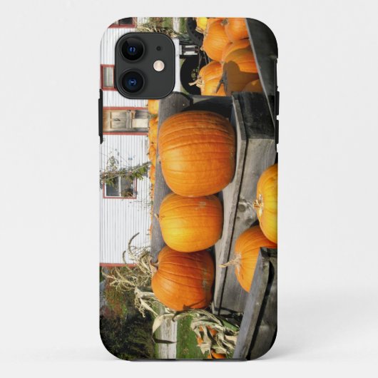 VS, Vermont. Pompoenen Case-Mate iPhone Case (Achterkant)