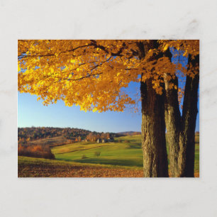 VS, Vermont. Schitterend landschap nabij South Woo Briefkaart