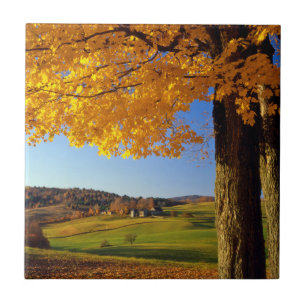 VS, Vermont. Schitterend landschap nabij South Woo Tegeltje
