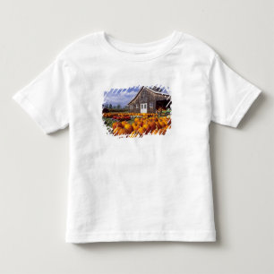 VS, Vermont, Shelbourne, Pompoenen Kinder Shirts