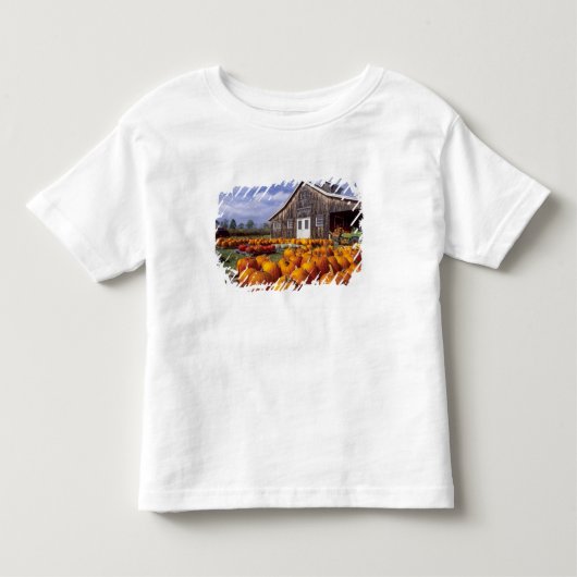 VS, Vermont, Shelbourne, Pompoenen Kinder Shirts (Voorkant)