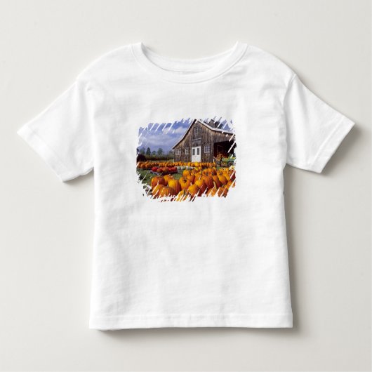 VS, Vermont, Shelbourne, Pumpkins Kinder Shirts (Voorkant)