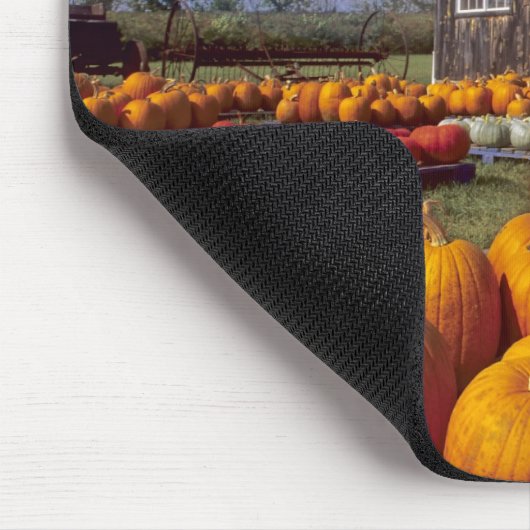 VS, Vermont, Shelbourne, Pumpkins Muismat (Hoek)