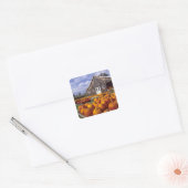 VS, Vermont, Shelbourne, Pumpkins Vierkante Sticker (Envelop)