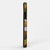 VS, Vermont, South Woodstock Case-Mate iPhone Case (Achterkant/rechts)