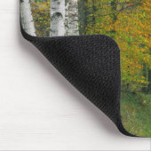 VS, Vermont. Suikerhuis nabij de stad Zuid Muismat (Hoek)