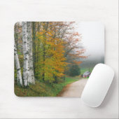 VS, Vermont. Suikerhuis nabij de stad Zuid Muismat (Met muis)