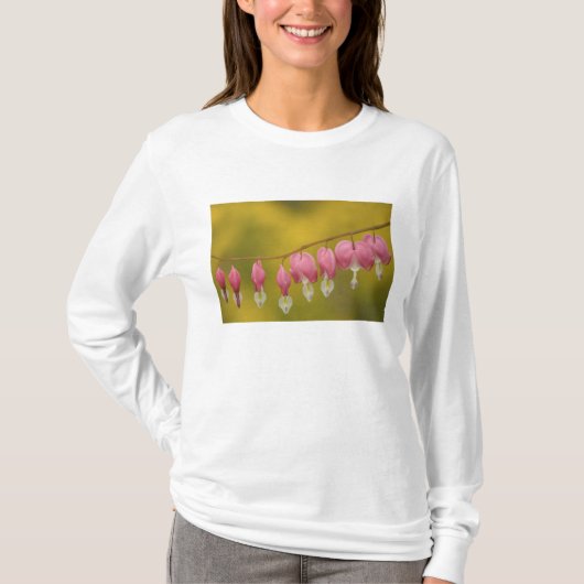 VS, Virginia, Arlington, close-up van roze T-shirt (Voorkant)
