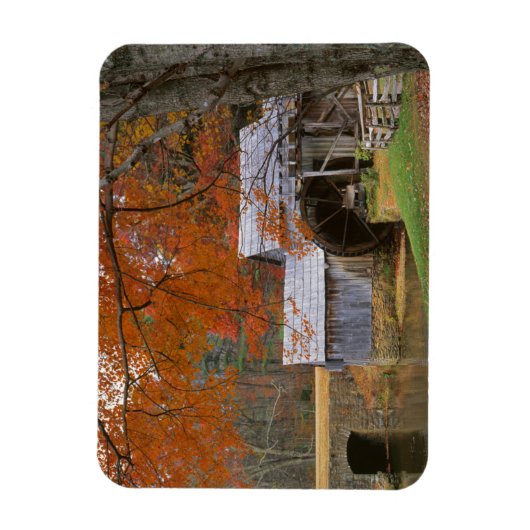 VS, Virginia, Blue Ridge Parkway, Herfst Magneet (Verticaal)