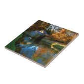 VS, Virginia, Blue Ridge Parkway, Mabry Mill Tegeltje (Zijkant)