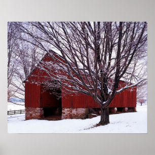 VS, Virginia, Fairfax County, Schuur en esdoorn Poster