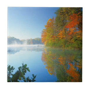 VS, Virginia, Fairy Stone State Park 2 Tegeltje