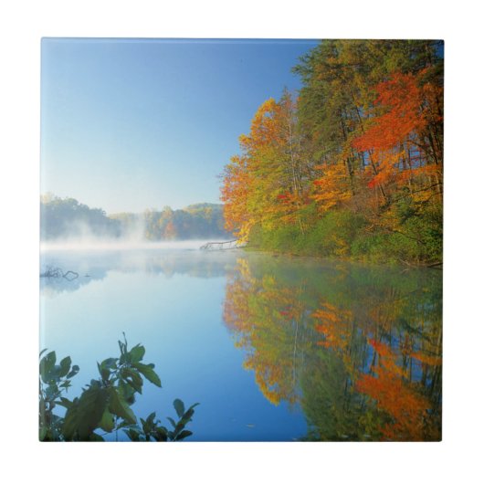 VS, Virginia, Fairy Stone State Park 2 Tegeltje (Voorkant)