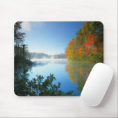 VS, Virginia, Fairy Stone State Park Muismat (Met muis)