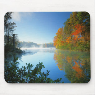 VS, Virginia, Fairy Stone State Park Muismat