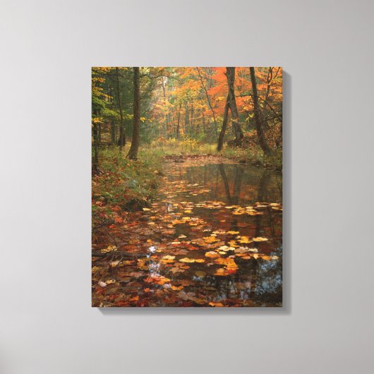 VS, Virginia, herfst in Douthat State Park Canvas Afdruk (Voorkant)