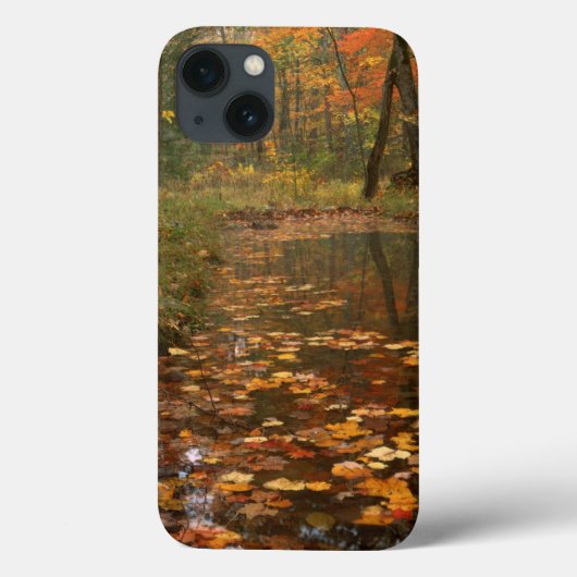 VS, Virginia, herfst in Douthat State Park Case-Mate iPhone Case (Achterkant)