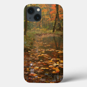 VS, Virginia, herfst in Douthat State Park iPhone 13 Hoesje